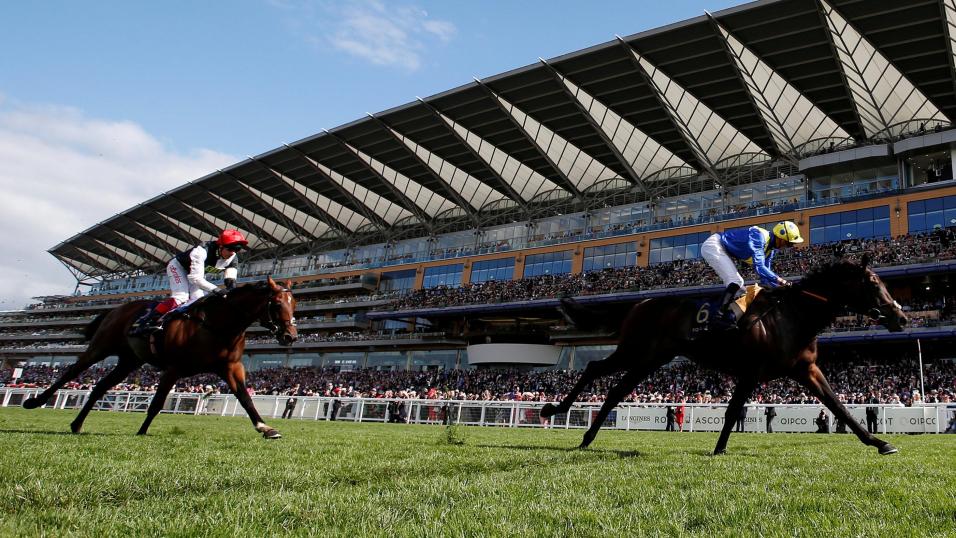Poet's Word beats Cracksman to win the 2018 Prince of Wales's Stakes